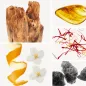 Preview: Duftnoten: Zedernholz, Ambra, Jasmin, Moschus, zitrische Noten, Jasmin
